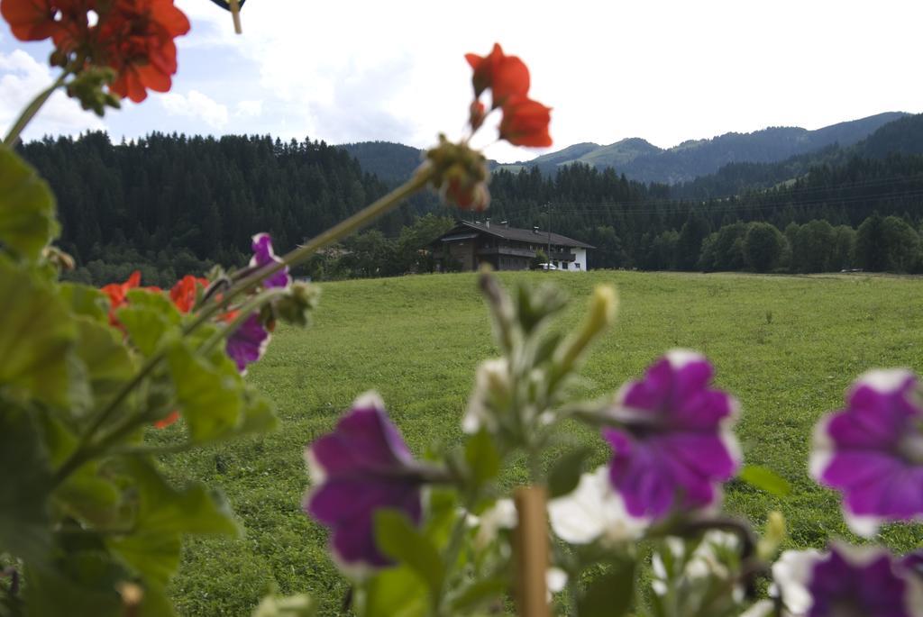 Haus Schatzbergblick Оберау Екстериор снимка